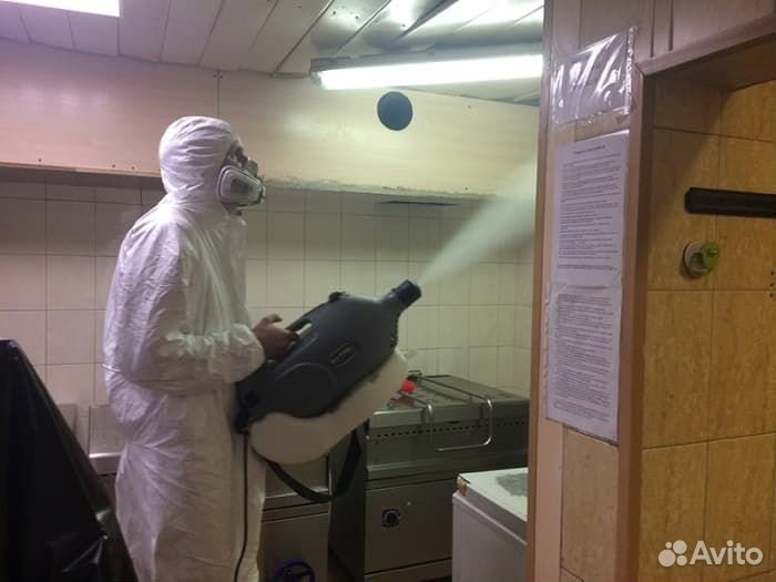 Уничтожение тараканов, клопов