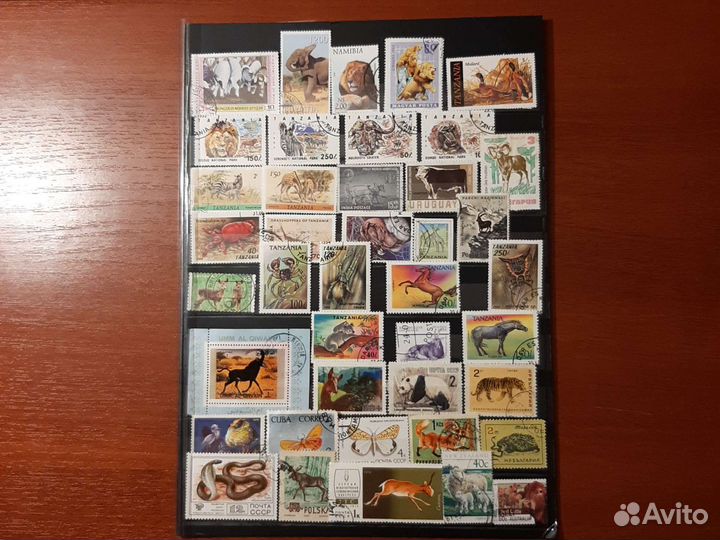 Почтовые марки Фауна