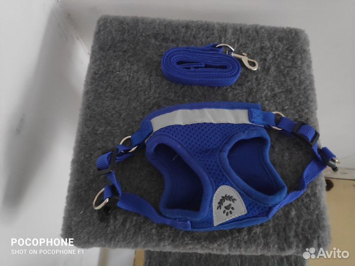 Шлейка для кошки