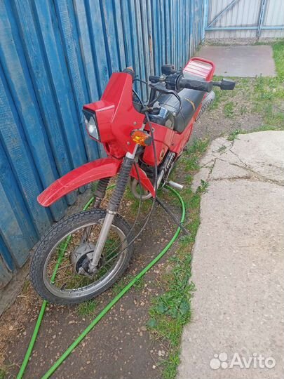 Зид пилот 50