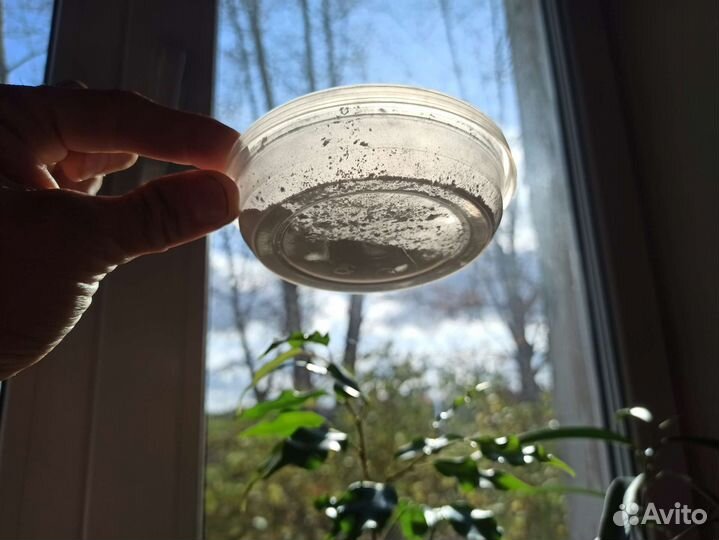 Европейский укоренитель Rhizopon 1 и 2