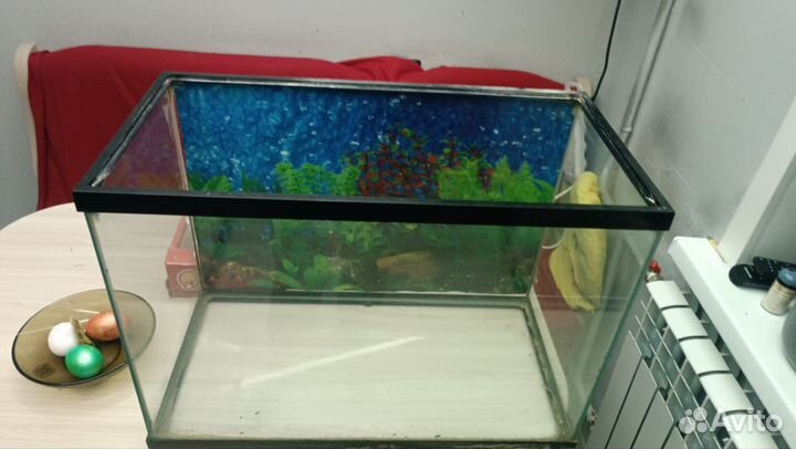 Аквариум