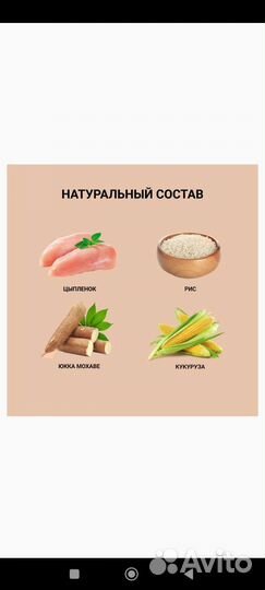 Сухой корм для кошек Италия