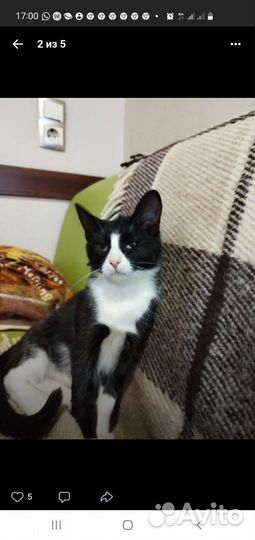 Хрупкая но мужественная