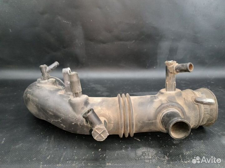 Самка Subaru Forester SG5 EJ205 2005