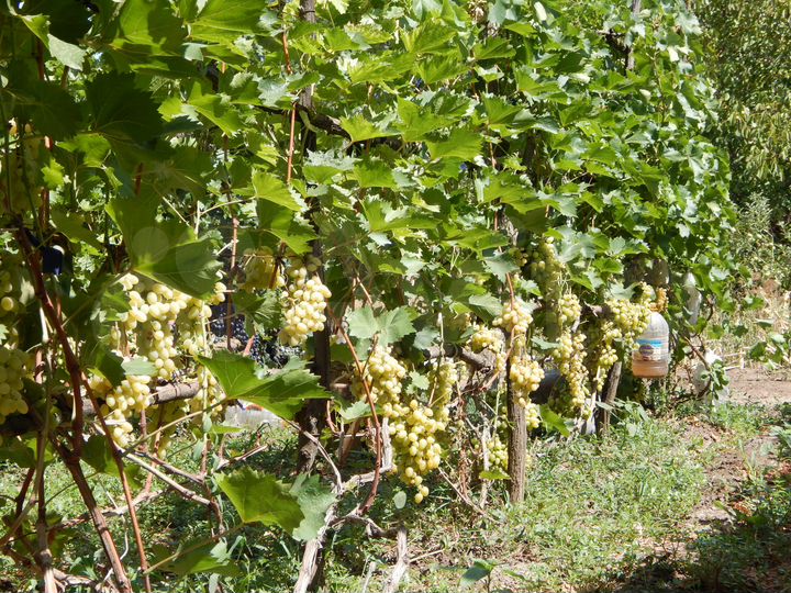 Дом 70 м² на участке 30 сот.