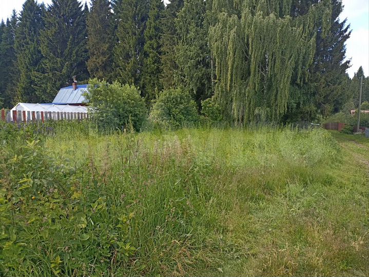 Участок 5 сот. (СНТ, ДНП)