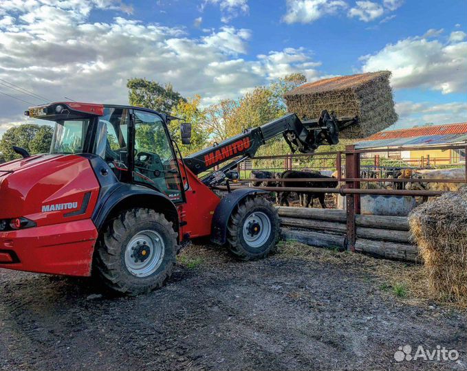 В разборе Macdon Макдон