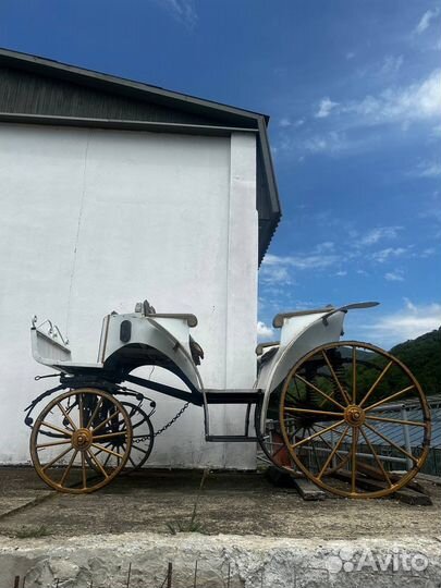Карета для лошади