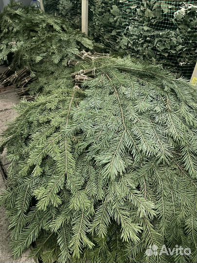 Веник пихтовый для бани