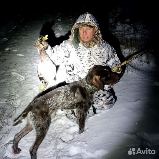Дратхаар для вязки бесплатно