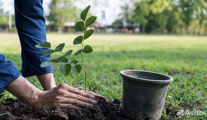 Грунт плодородный