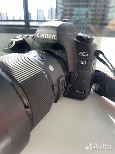 Сдам в аренду фототехнику