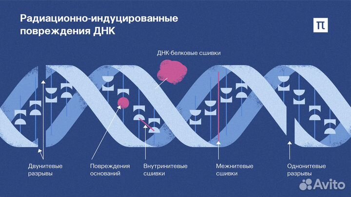 Проверка электромагнитного и радиоактивного излуче