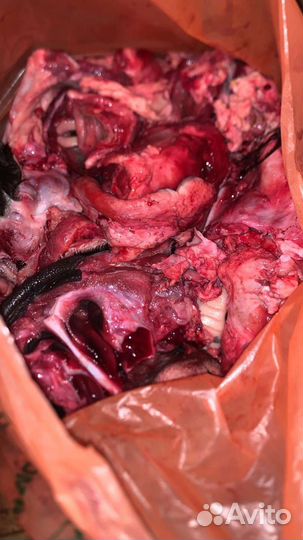 Мясо-Обрезь-для животным