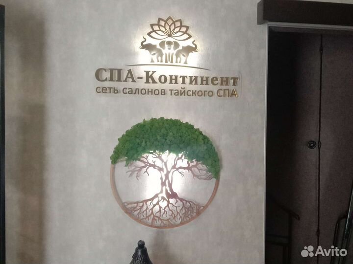 Администратор/Помощник админ/Старший администратор