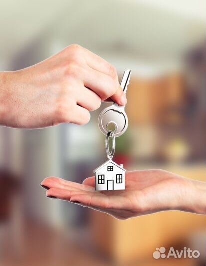 Доверительное управление недвижимостью