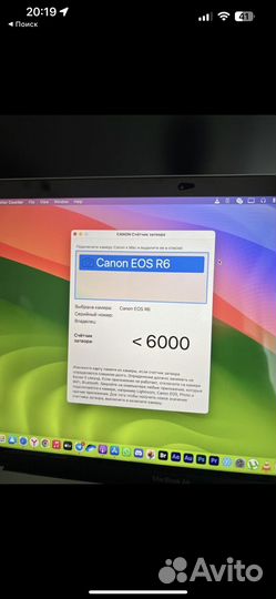 Canon eos r6 body