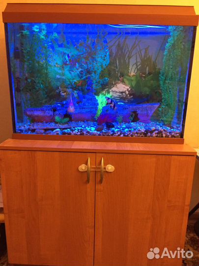 Аквариум