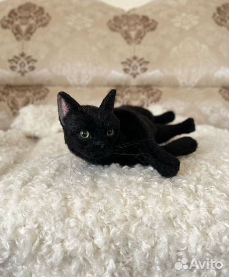 Черная кошка Луна.Реалистичная подвижная игрушка