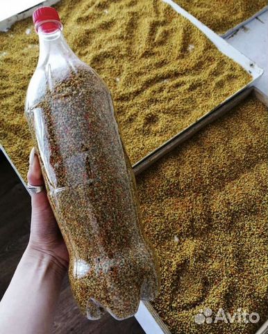 Продам цветочную пыльцу купить в Строителе | Товары для дома и дачи | Авито