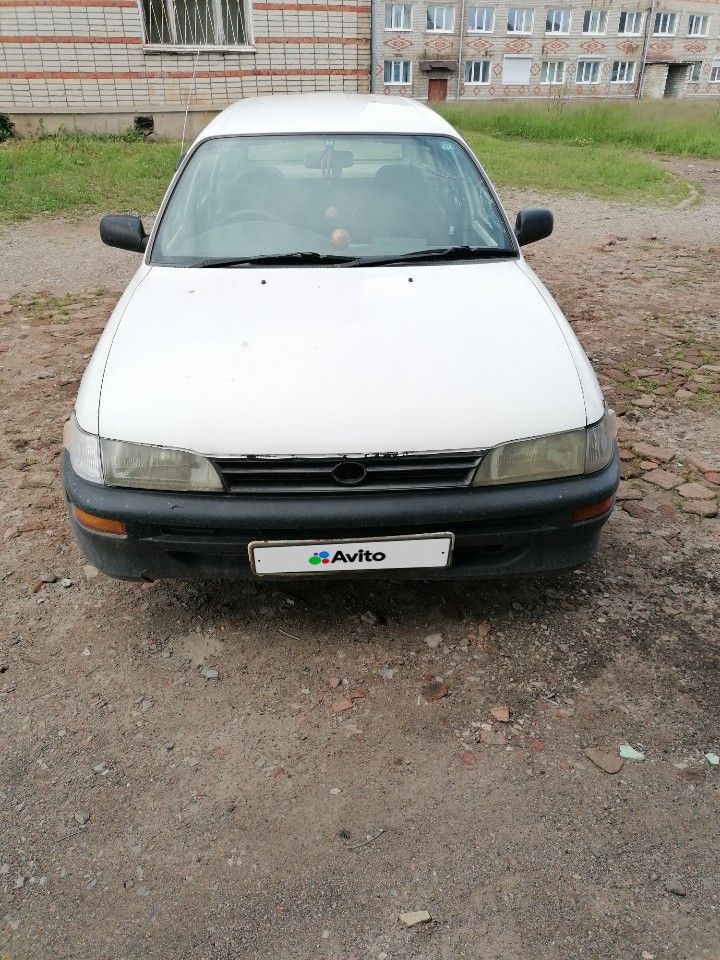 Toyota Corolla: фото владельца