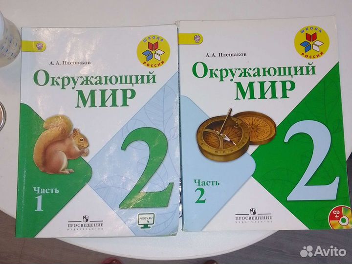 Окружающий мир Плешаков 2класс
