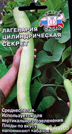 Семена декоративной тыквы