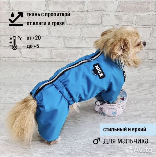 Одежда для маленьких пород собак