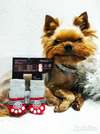 Носочки для собак