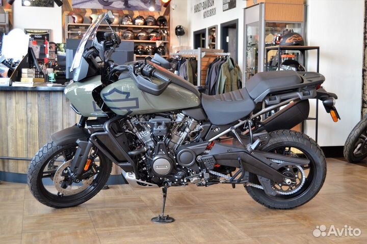 Pan America 1250 Special - Deadwood Green 