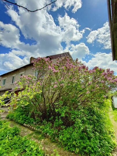 Дом 68,1 м² на участке 15 сот.