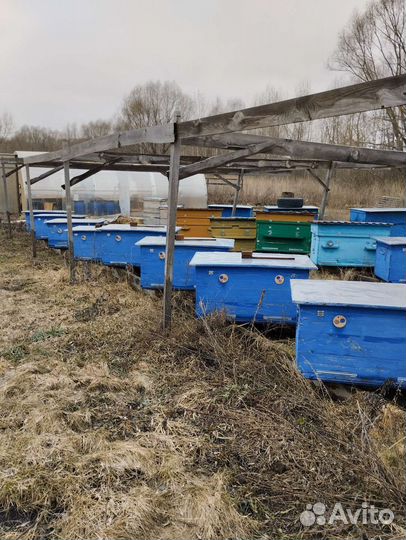 Продам ульи для пчел