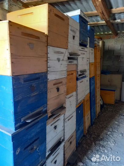 Ульи для пчел
