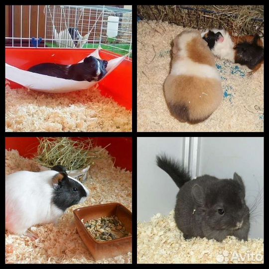 Опилки Стружка