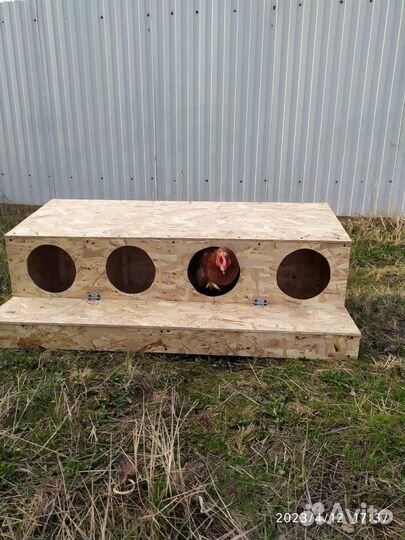 Гнезда для кур с яйцезборником