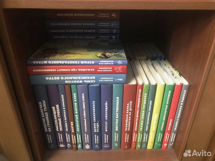 Владислав Крапивин. бисс. ид Мещерякова