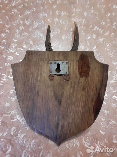 Рога косули, лося