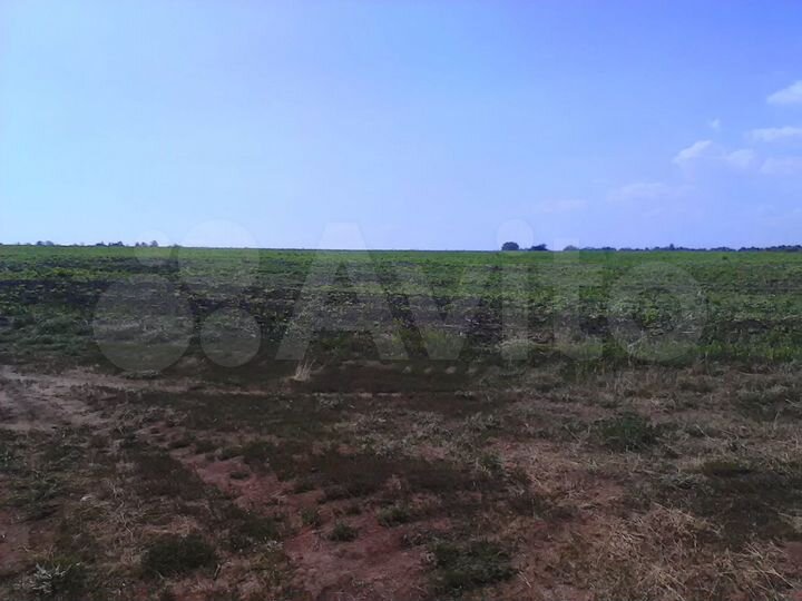 Участок 5,1 га (СНТ, ДНП)