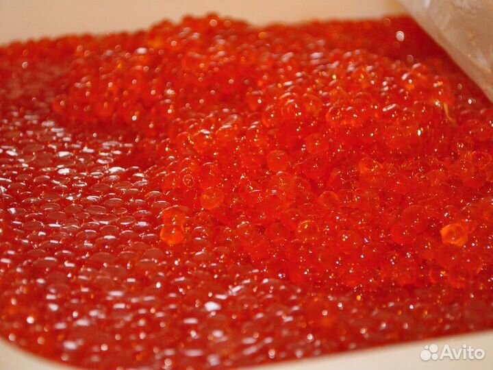 Красная икра Горбуша, Нерка, Кета, Кижуч