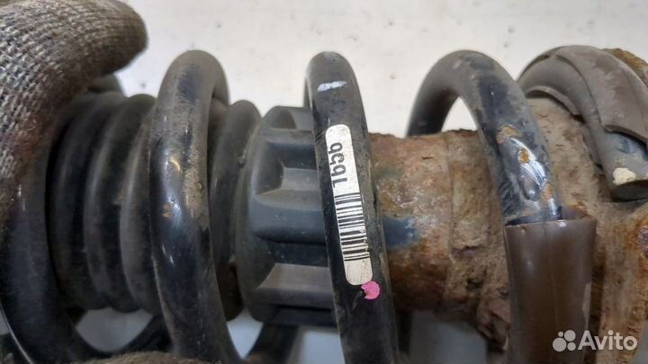 Амортизатор подвески Peugeot 407, 2009