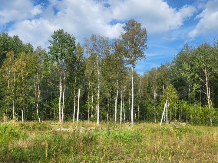 Участок 10 сот. (СНТ, ДНП)