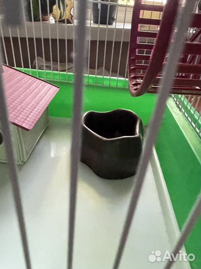 Клетка для грызунов