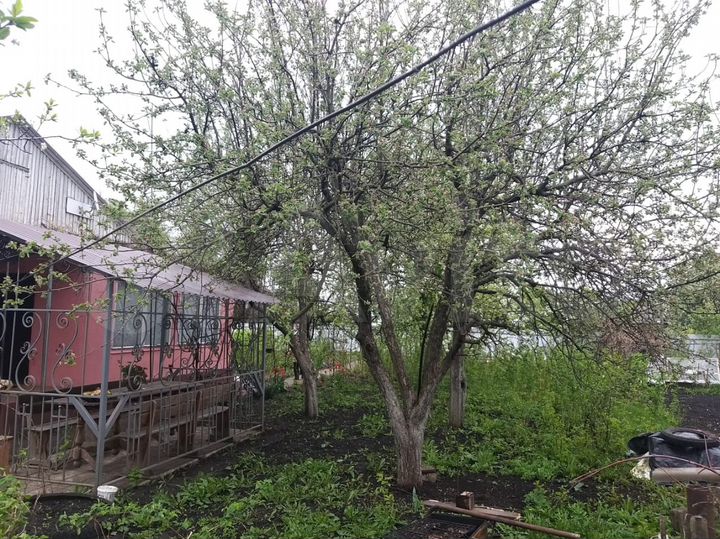 Дом 100 м² на участке 15 сот.