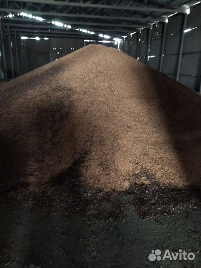 Сорго красное