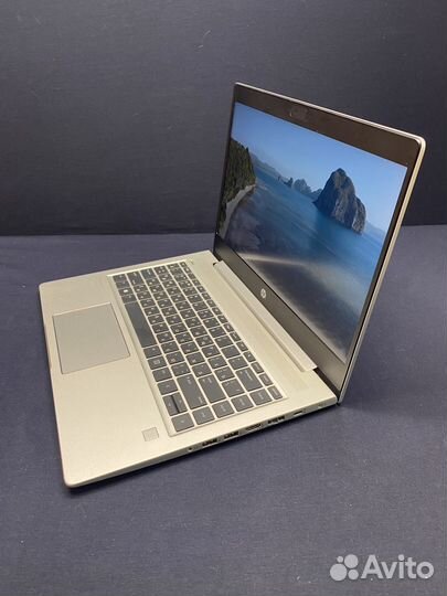HP ProBook 445 G7 Ryzen 5 8Gb SSD 256Gb Гарантия