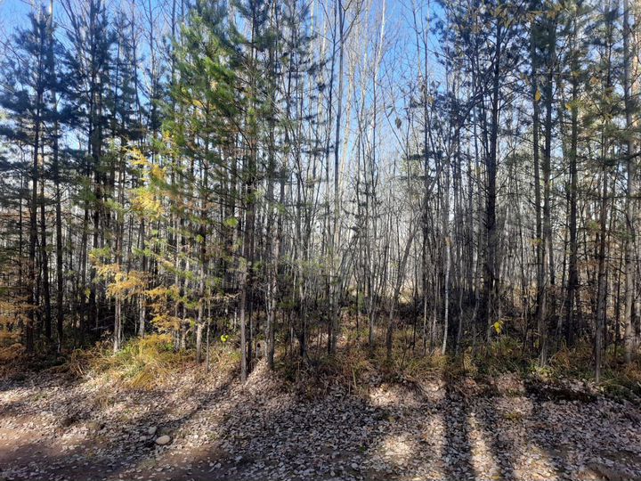 Участок 10 сот. (СНТ, ДНП)