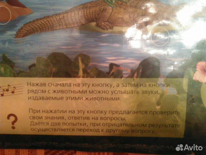 Три звуковых обучающих плаката