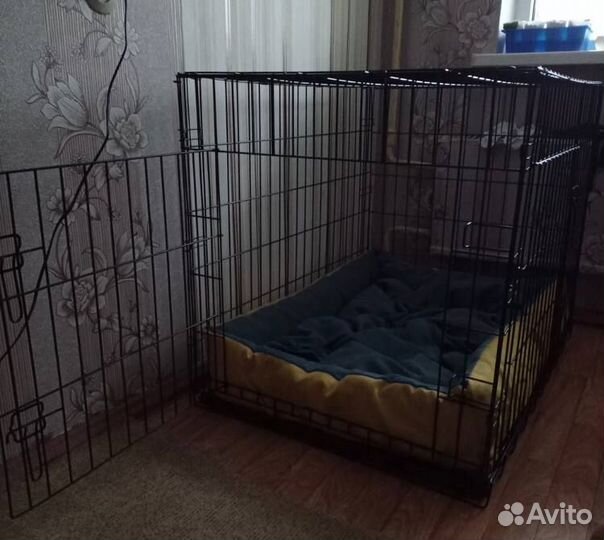 Клетка для животных в аренду