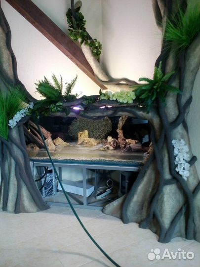 Обслуживание (Чистка ) Аквариумов Спб или Лен Об